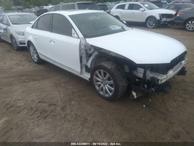 AUDI A4 2013 waubfafl9da160387