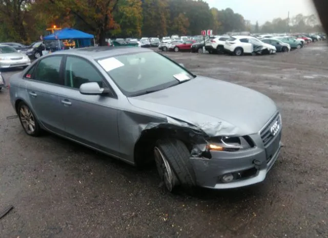 AUDI A4 2010 waubfaflxan001348