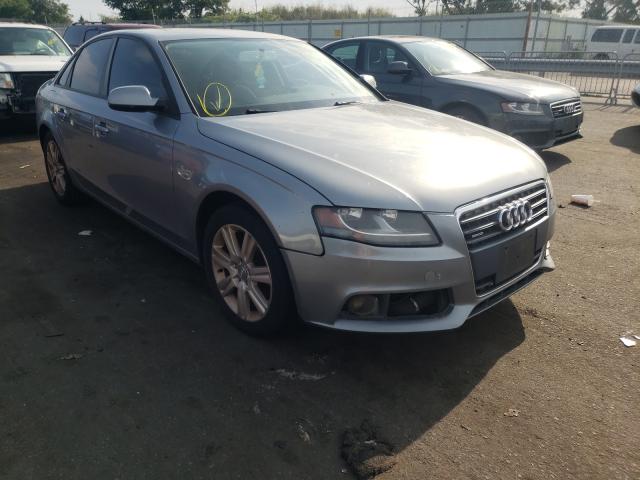 AUDI A4 PREMIUM 2010 waubfaflxan001897