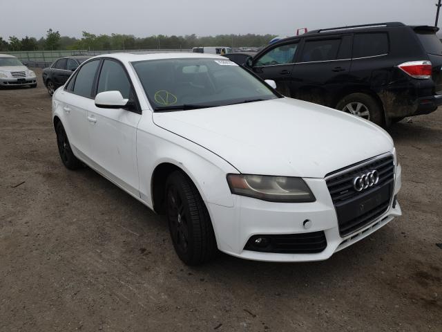 AUDI A4 PREMIUM 2010 waubfaflxan006338