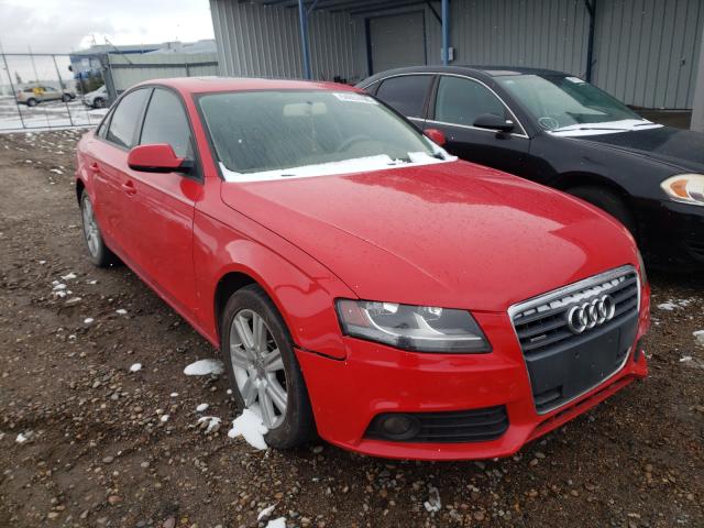 AUDI A4 PREMIUM 2010 waubfaflxan011913