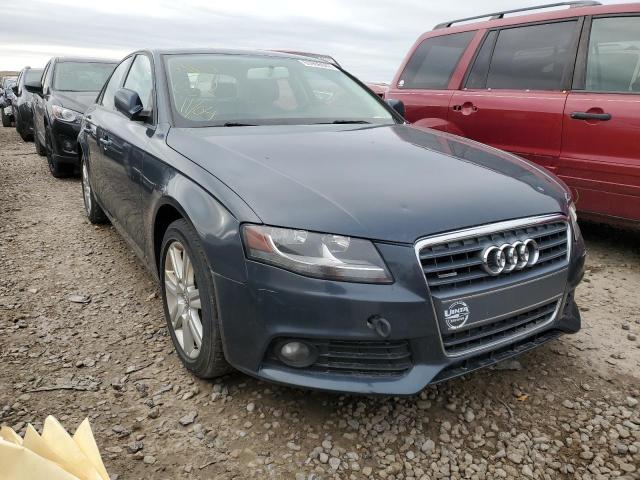 AUDI A4 PREMIUM 2010 waubfaflxan032261