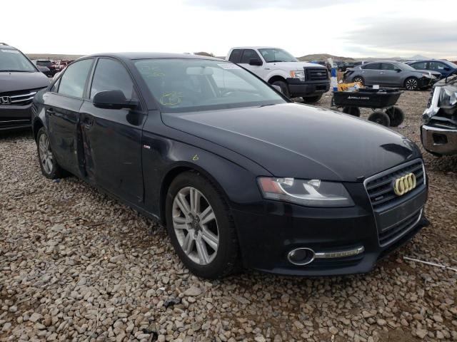 AUDI A4 PREMIUM 2010 waubfaflxan040649