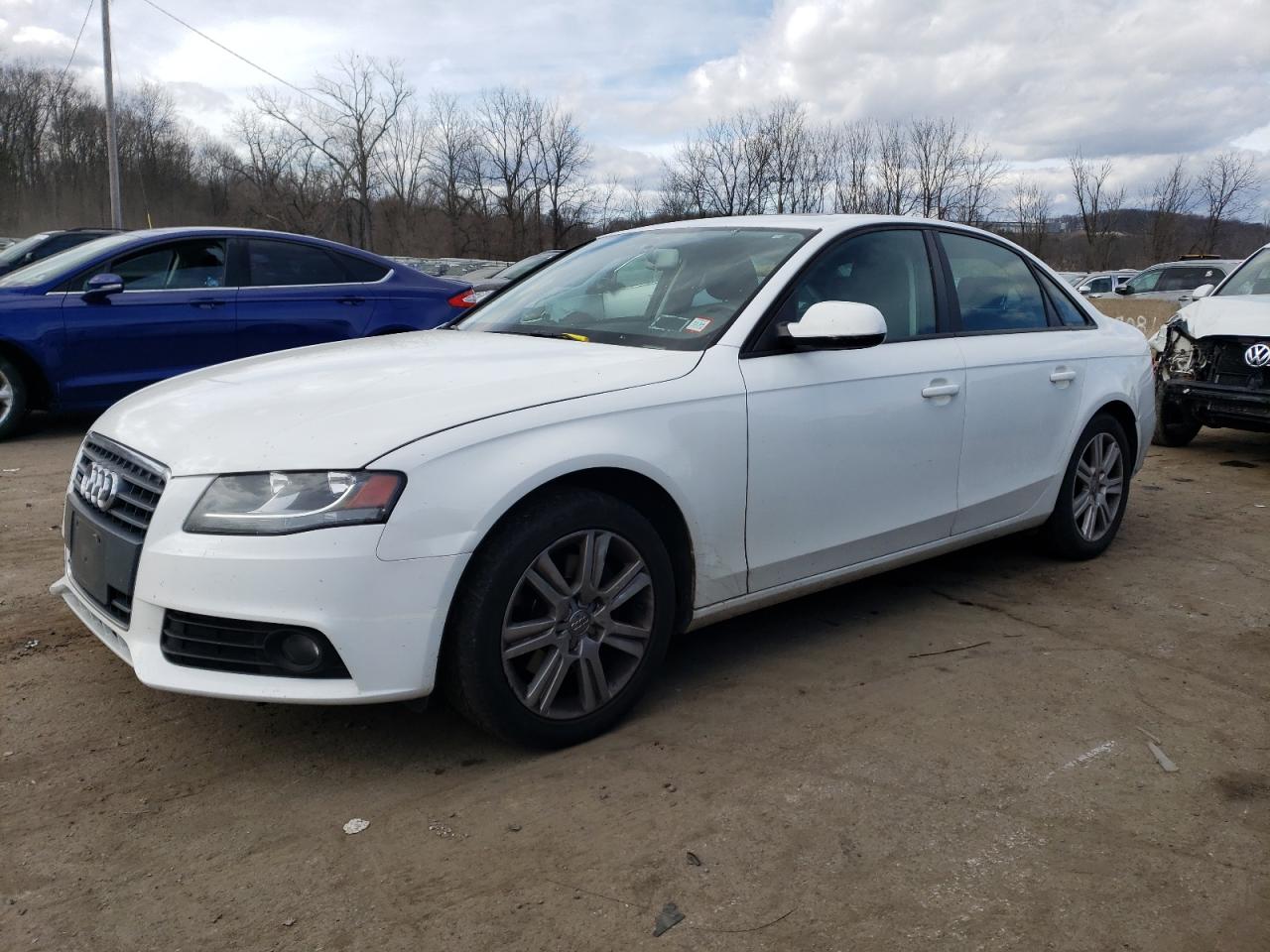 AUDI A4 2010 waubfaflxan041266