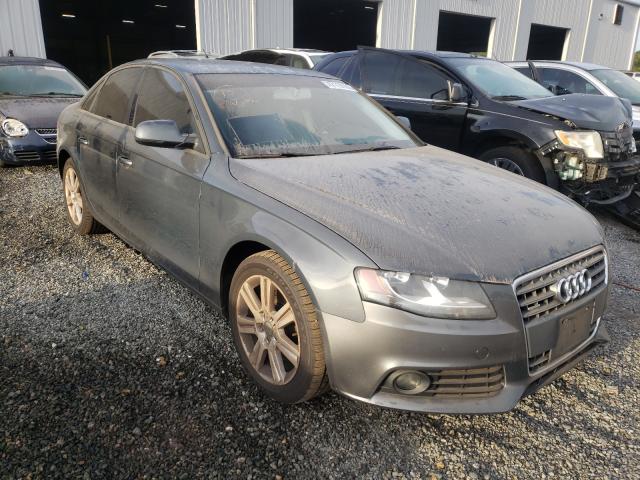 AUDI A4 PREMIUM 2010 waubfaflxan042367