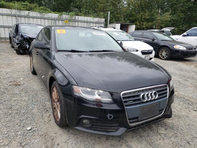 AUDI A4 PREMIUM 2010 waubfaflxan048847