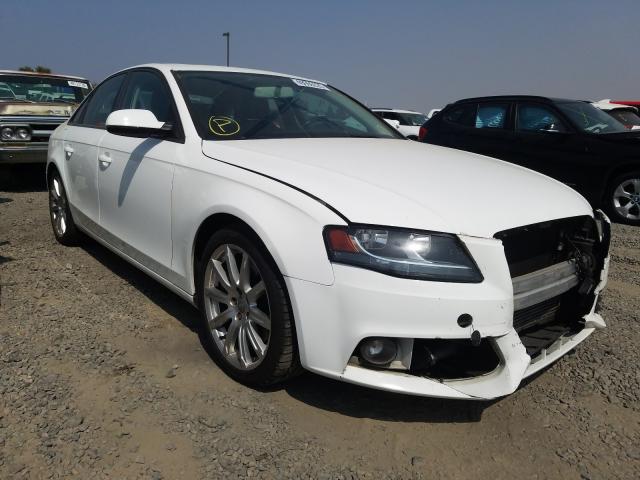 AUDI A4 PREMIUM 2010 waubfaflxan060190