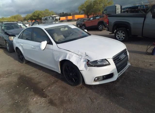 AUDI A4 2011 waubfaflxbn012268