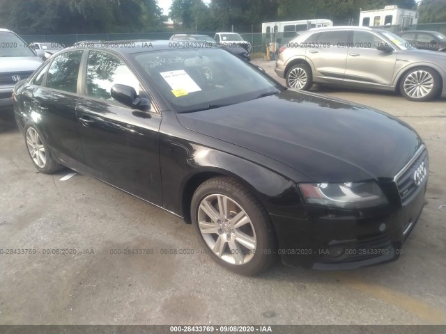 AUDI A4 2011 waubfaflxbn042581