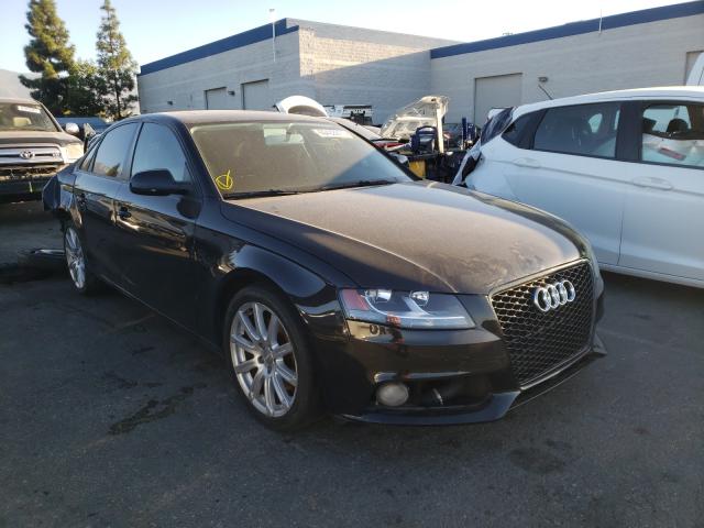 AUDI A4 PREMIUM 2011 waubfaflxbn043116