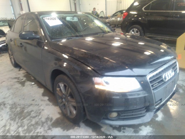 AUDI A4 2011 waubfaflxbn049157