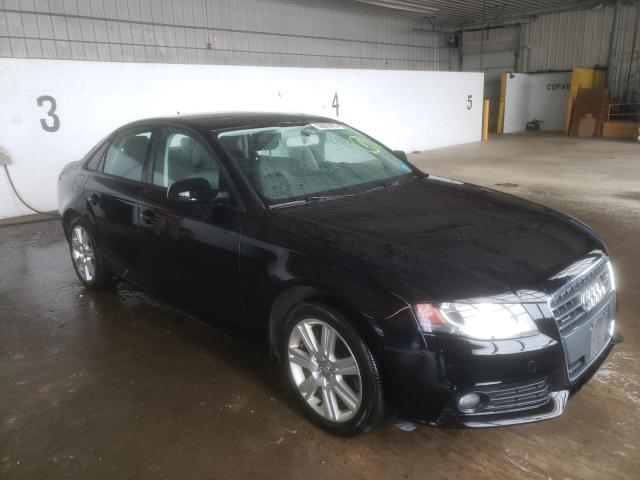 AUDI A4 PREMIUM 2011 waubfaflxbn051328