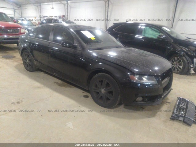 AUDI A4 2011 waubfaflxbn053368