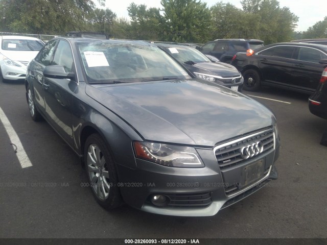 AUDI A4 2012 waubfaflxca056831