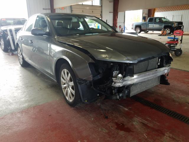 AUDI A4 PREMIUM 2014 waubfaflxen006295