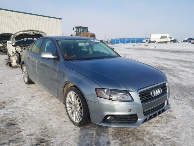 AUDI A4 PREMIUM 2011 waubfcfl1bn039760