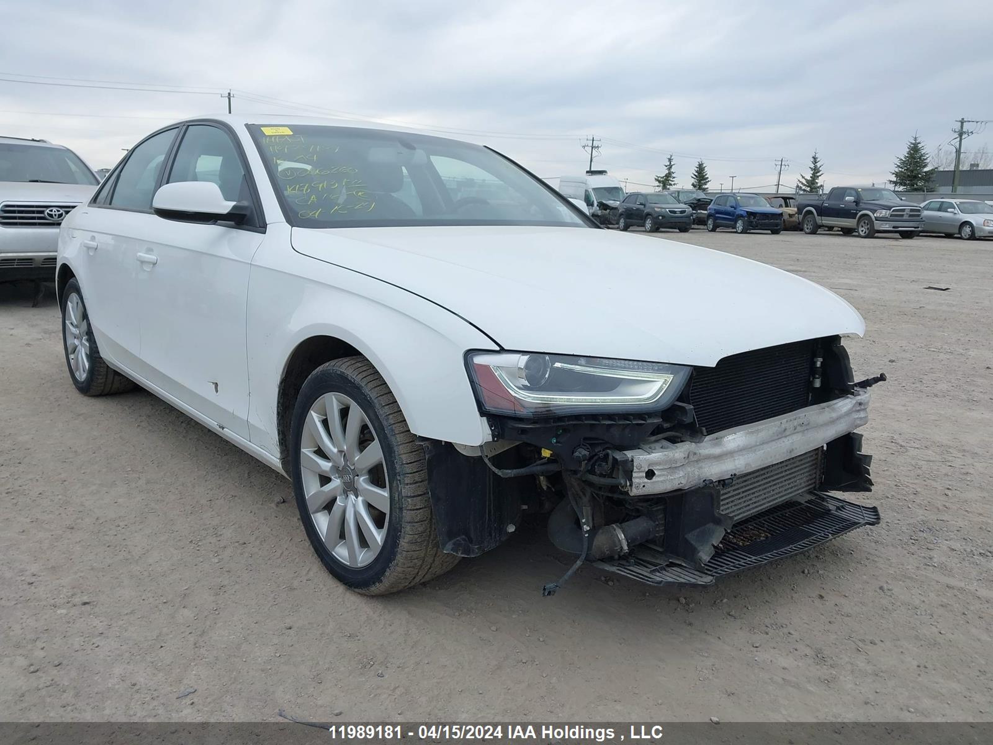 AUDI A4 2013 waubfcfl1dn046260