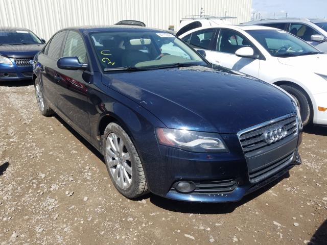 AUDI A4 PREMIUM 2010 waubfcfl2an033724