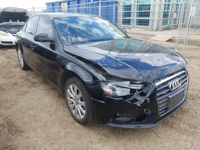 AUDI A4 PREMIUM 2013 waubfcfl4dn004262