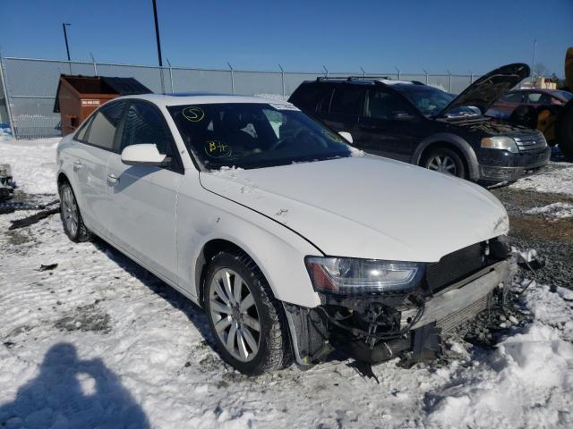 AUDI A4 PREMIUM 2013 waubfcfl4dn033311