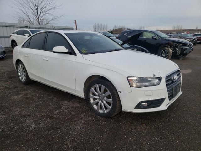 AUDI A4 PREMIUM 2013 waubfcfl6dn049249