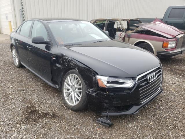 AUDI A4 PREMIUM 2015 waubfcfl6fn024564