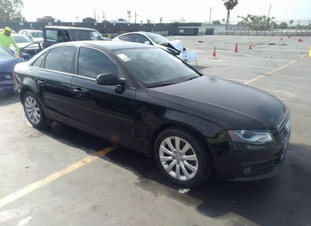 AUDI A4 2010 waubfcfl8an050690