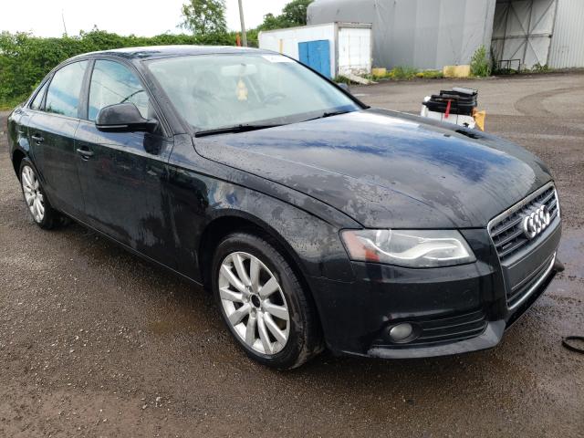 AUDI A4 PREMIUM 2011 waubfcfl9bn018302