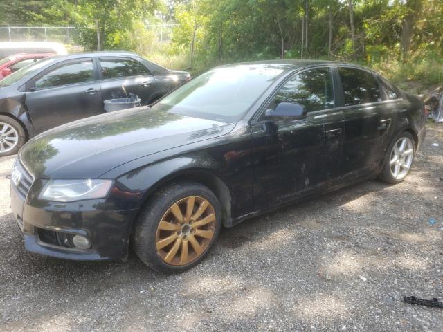 AUDI A4 PREMIUM 2012 waubfcflxcn005303