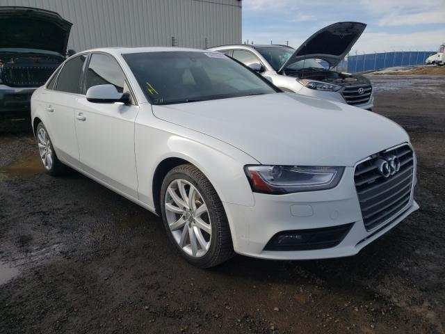 AUDI A4 PREMIUM 2014 waubfcflxen022007