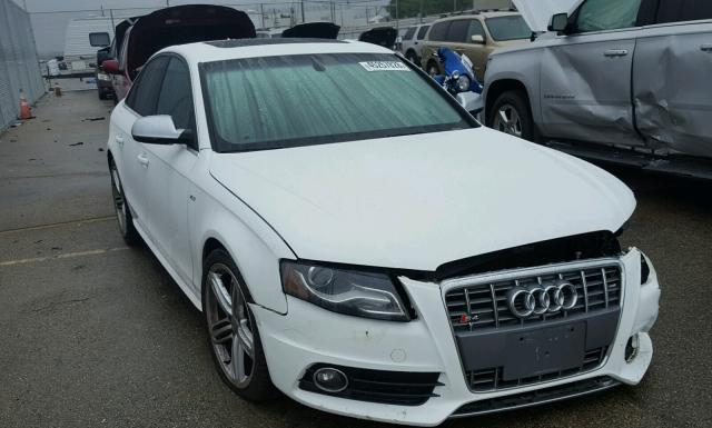 AUDI RS4 2010 waubgafl1aa139896