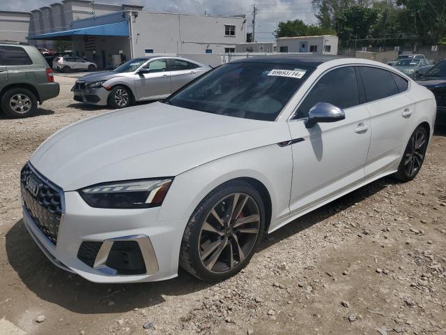 AUDI S5 PREMIUM 2023 wauc4cf55pa011745