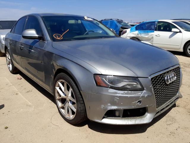 AUDI A4 PREMIUM 2009 waucf78k09n049545