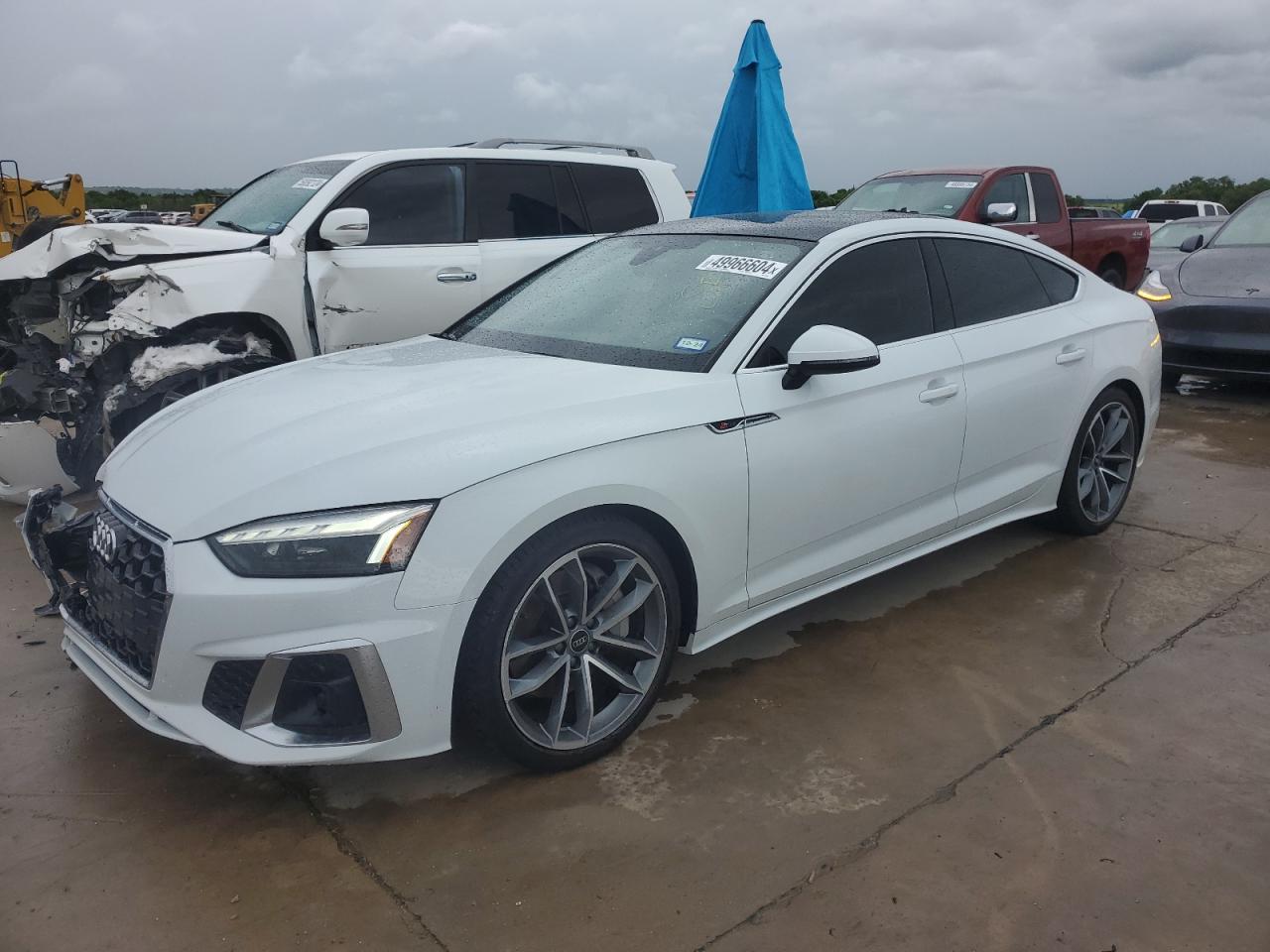 AUDI A5 2023 waudacf54pa024628