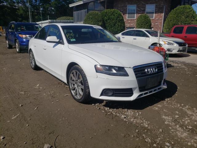 AUDI A4 PREMIUM 2011 waudfafl0bn047927