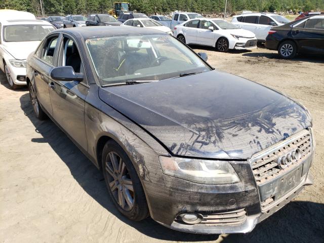 AUDI A4 PREMIUM 2010 waudfafl1an010870