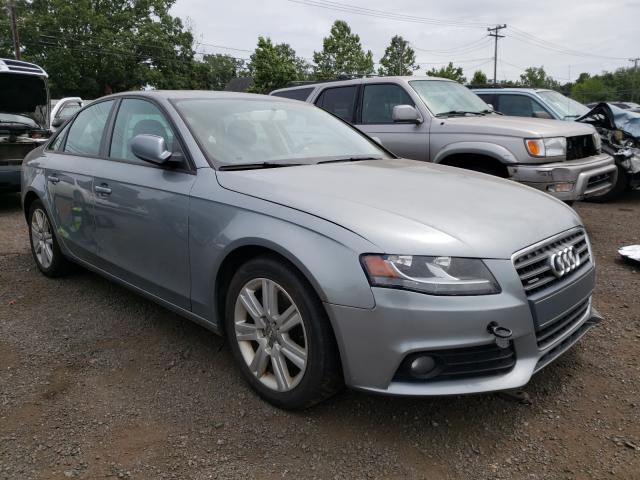 AUDI A4 PREMIUM 2010 waudfafl1an026356