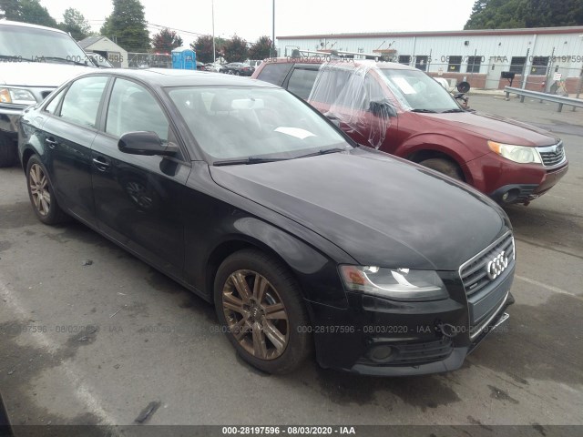 AUDI A4 2010 waudfafl2an036605