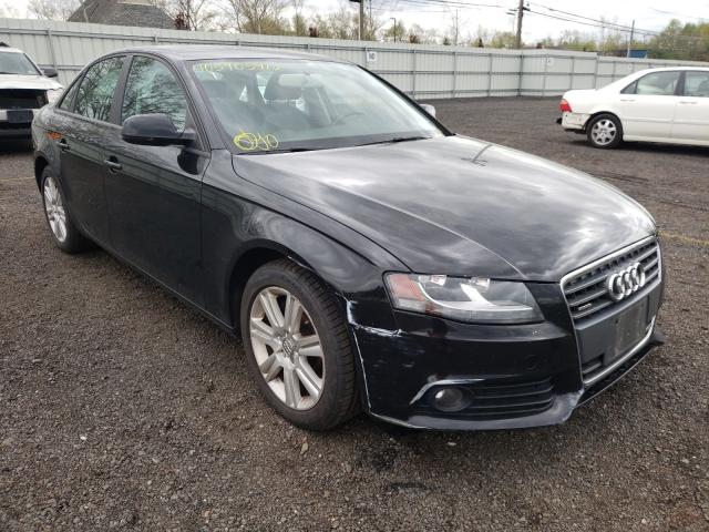 AUDI A4 2010 waudfafl3aa045949