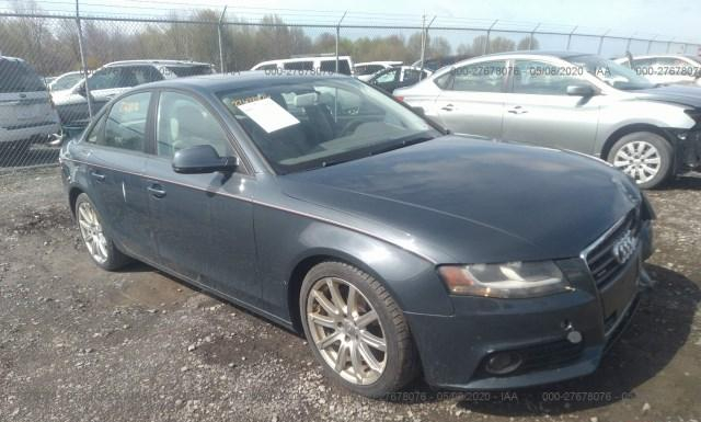 AUDI A4 2010 waudfafl4aa052649