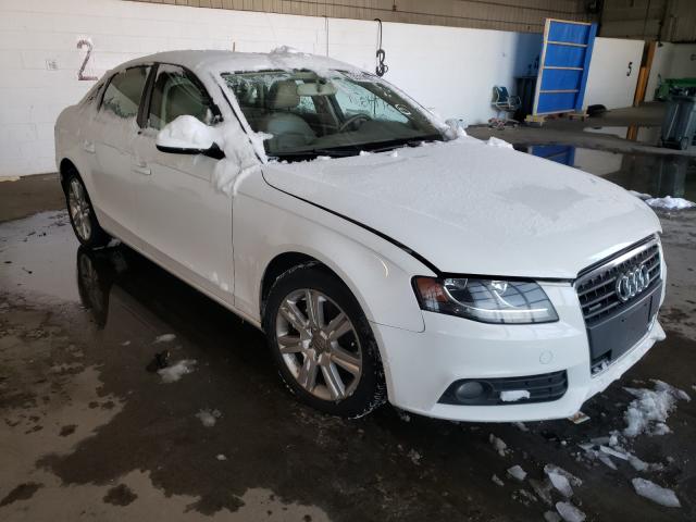 AUDI A4 PREMIUM 2010 waudfafl8aa050418