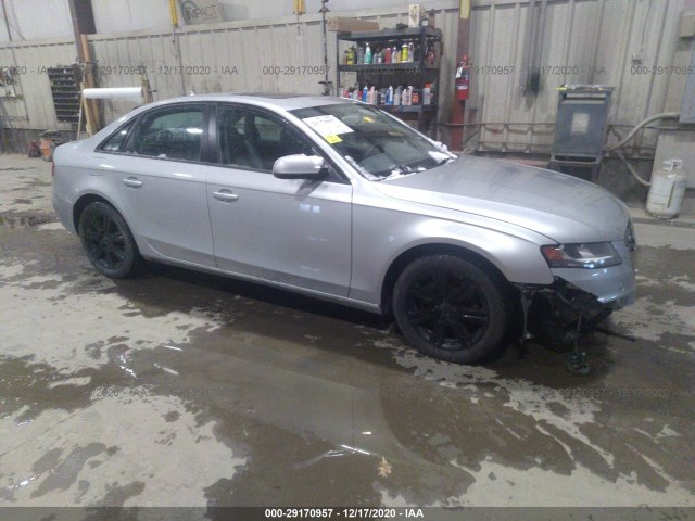 AUDI A4 2010 waudfafl8an021459