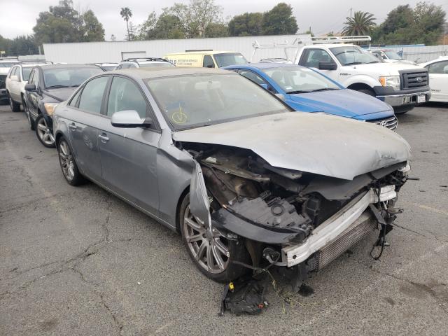 AUDI A4 PREMIUM 2010 waudfafl8an037225