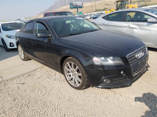 AUDI A4 PREMIUM 2010 waudfafl8an055952