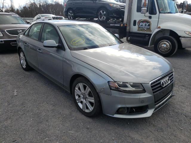 AUDI A4 PREMIUM 2010 waudfaflxan006459