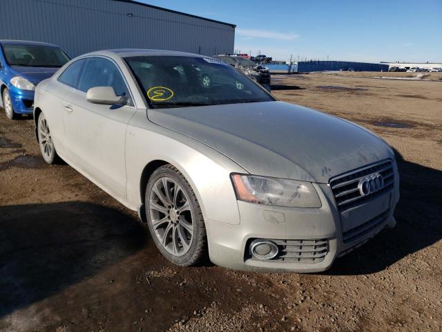 AUDI A5 PREMIUM 2010 waudfbfr9aa002033