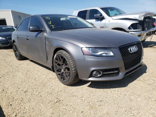 AUDI A4 PREMIUM 2010 waudfcfl4an044667