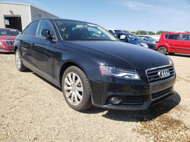 AUDI A4 PREMIUM 2012 waudfcfl5cn005055