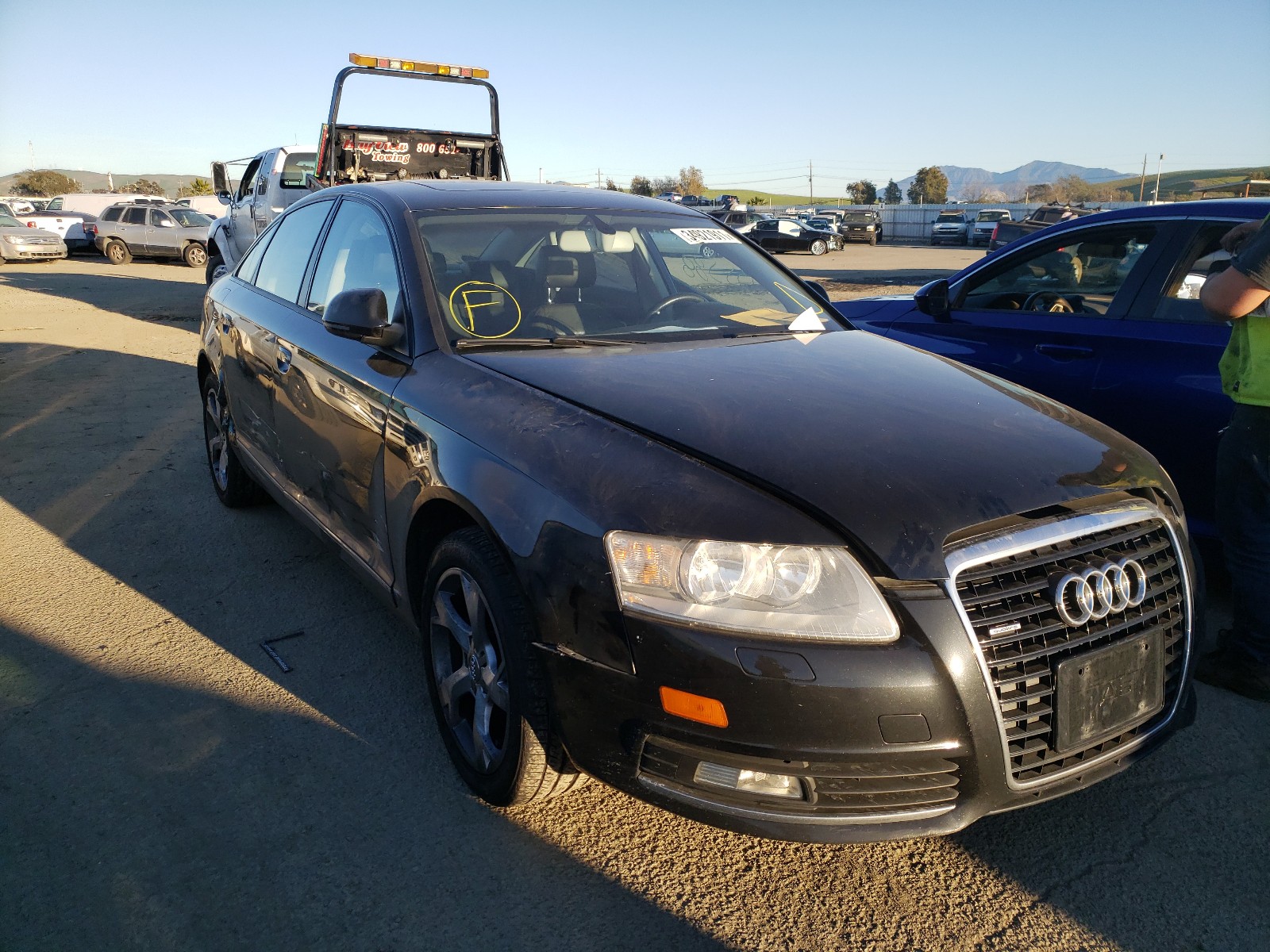 AUDI A6 PREMIUM 2009 waudg74f99n019910