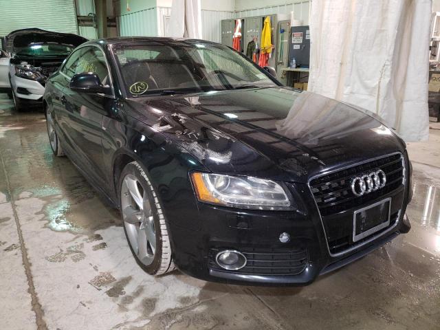 AUDI A5 QUATTRO 2009 waudk78t19a031118